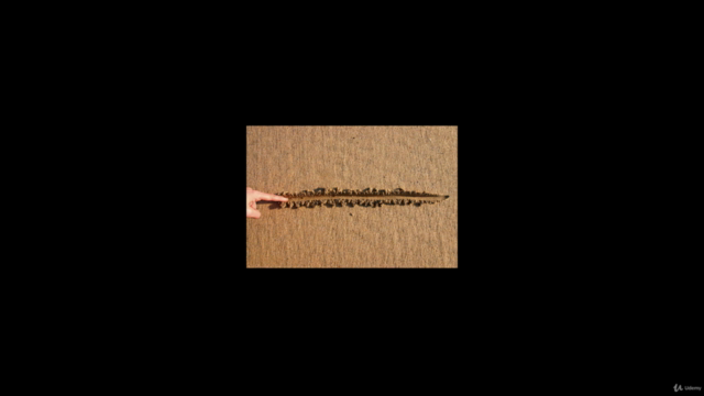Perfectionism/Performance- Different faces of the same coin – Screenshot 2
