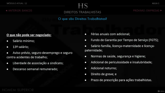 Profissional de Sucesso: O Guia Completo – Screenshot 4