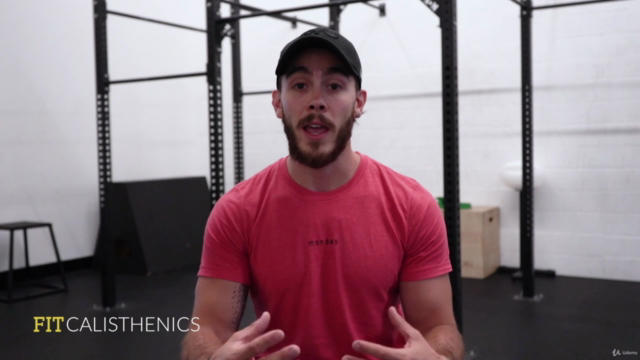 Intro to Calisthenics & Bodyweight Training with Carlito – Screenshot 3