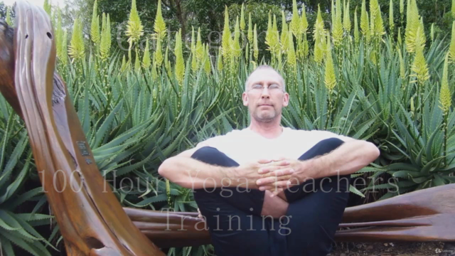 Yoga Teacher Training 100 Hour - Category Three – Screenshot 1