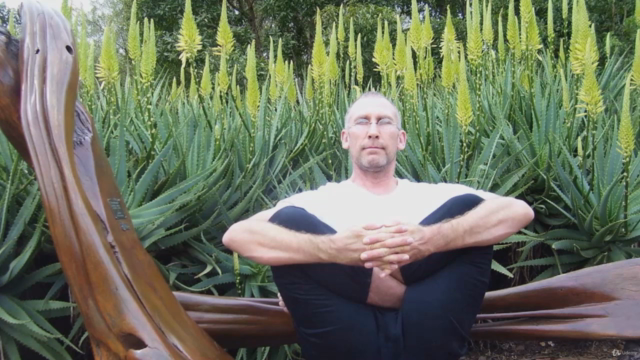 Yoga Teacher Training 100 Hour - Category Three – Screenshot 2