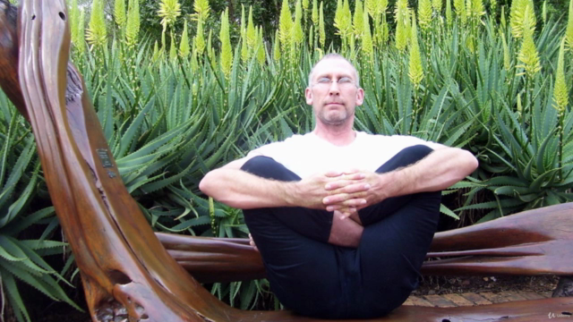 Yoga Teacher Training 100 Hour - Category Five - Screenshot_01