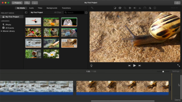 iMovie 2024 - Complete Video Editing Course: Beginner to Pro - Screenshot_03