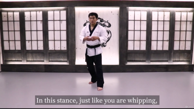 Winning street fight skills with TAEKWONDO – Screenshot 1