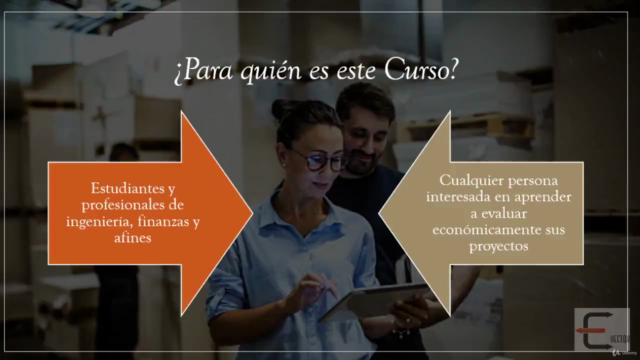 Curso Completo de Ingeniería Económica (Con Excel) – Screenshot 2
