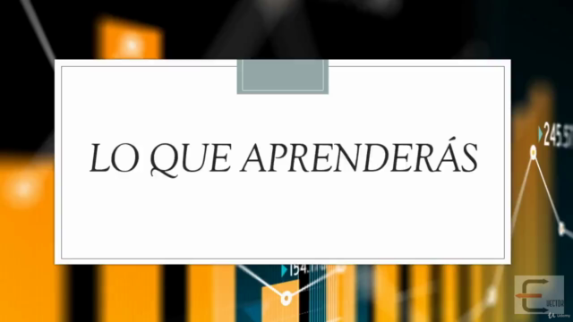 Curso Completo de Ingeniería Económica (Con Excel) – Screenshot 3