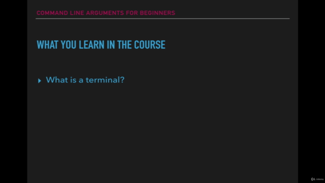 Command Line Arguments for Beginners - Screenshot_01