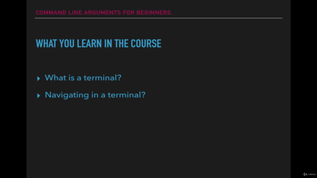 Command Line Arguments for Beginners - Screenshot_02