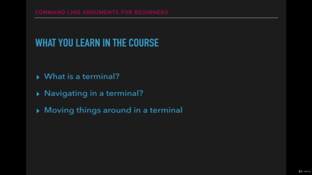 Command Line Arguments for Beginners - Screenshot_03