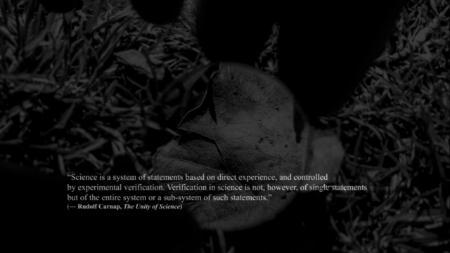 Philosophy of Science: From Observation to Scientific Theory – Screenshot 4