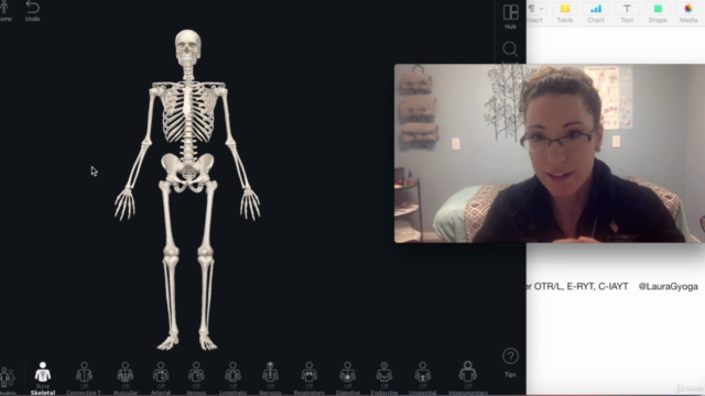 Foundations in Yoga Anatomy: 1 Language of Motion, Skeleton – Screenshot 1