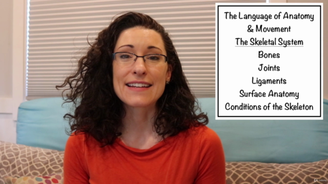 Foundations in Yoga Anatomy: 1 Language of Motion, Skeleton – Screenshot 2