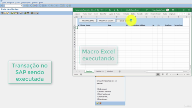 Integração SAP com Excel (VBA) – Screenshot 1