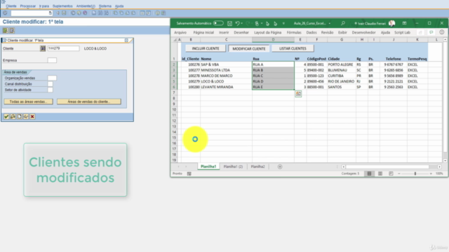 Integração SAP com Excel (VBA) – Screenshot 4