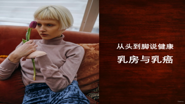 从头到脚说健康 :乳房与乳癌 – Screenshot 2