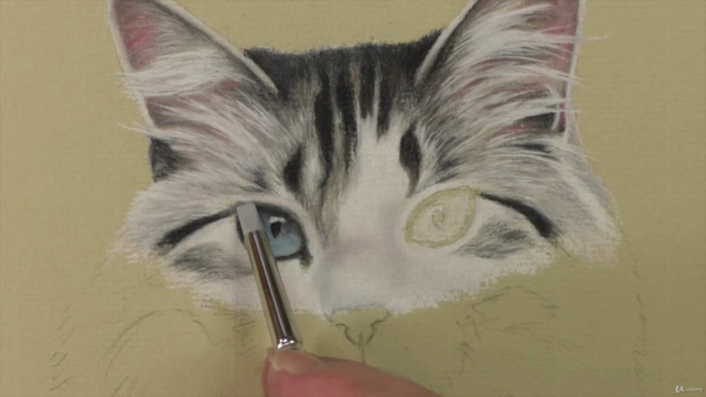 How to Draw Animals, Landscapes and Portraits in Pastel – Screenshot 1