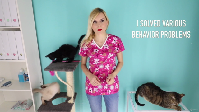 New Cat Owner's Guide – Screenshot 1