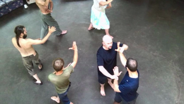 Baguazhang Basics – Screenshot 3