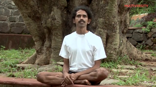 Yoga for Beginners: Get Healthier in 4 Weeks – Screenshot 1