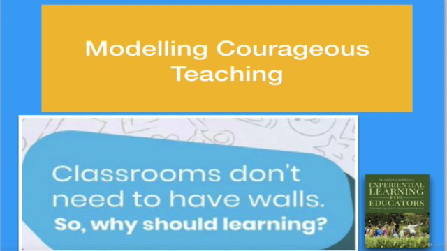 Modelling Courageous Teaching - Screenshot_02