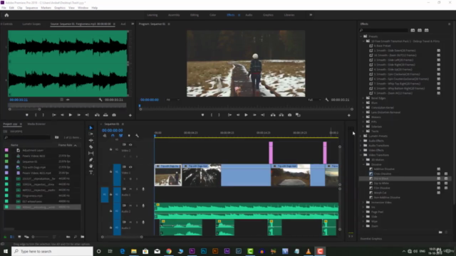 Adobe Premiere Pro Beginner Course in Hindi – Screenshot 3