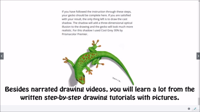Working with COLORED PENCILS - Basics & Practice – Screenshot 4