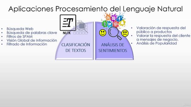 Procesamiento del Lenguaje Natural con Python (NLP) [2025] – Screenshot 1