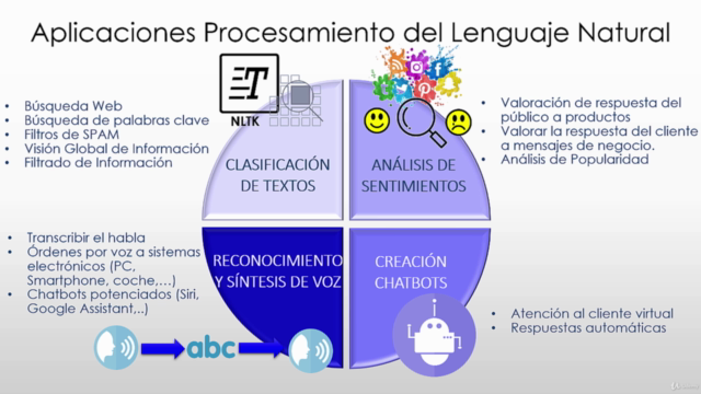 Procesamiento del Lenguaje Natural con Python (NLP) [2025] – Screenshot 2