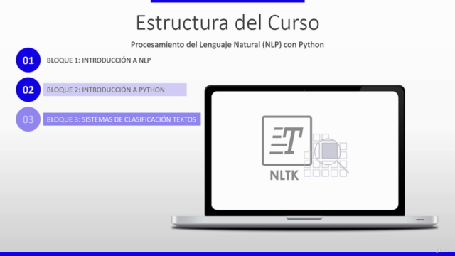 Procesamiento del Lenguaje Natural con Python (NLP) [2025] – Screenshot 3