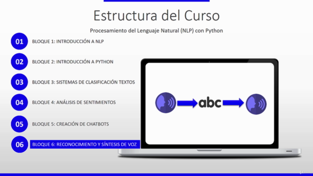 Procesamiento del Lenguaje Natural con Python (NLP) [2025] – Screenshot 4