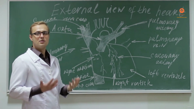 Master Cardiac Electrophysiology & Rhythm Management - 2 – Screenshot 1