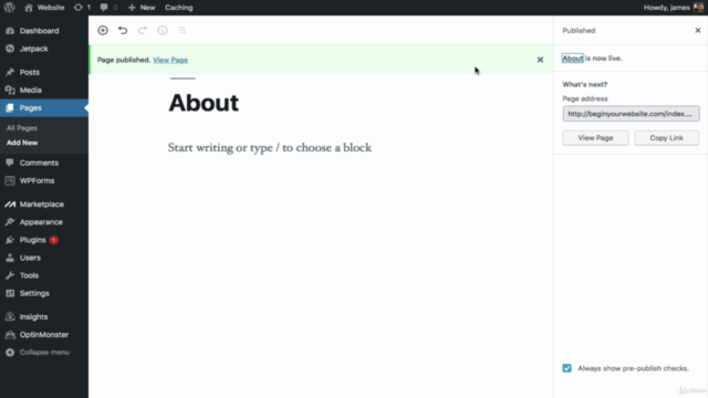 How To Make A Professional Wordpress Website & Free Domain! – Screenshot 4