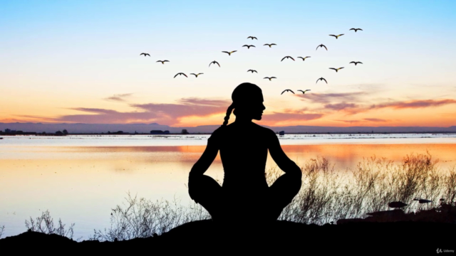 Mindfulness Teacher Training: Transform Lives w/ Meditation – Screenshot 4
