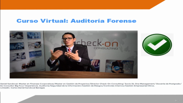 Auditoría Forense Empresarial – Screenshot 2
