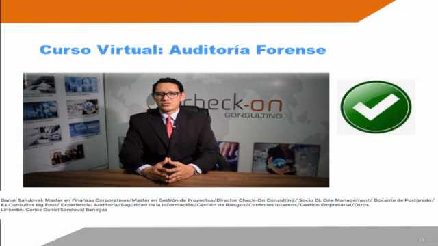 Auditoría Forense Empresarial – Screenshot 3