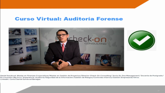 Auditoría Forense Empresarial – Screenshot 4