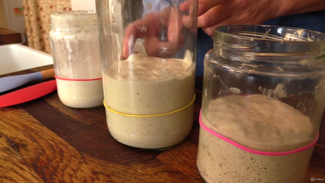 Mastering Sourdough Starters & Leavens – Screenshot 2