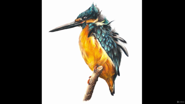 3 Little Birds with Colored Pencils – Screenshot 2