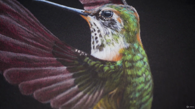 3 Little Birds with Colored Pencils – Screenshot 3