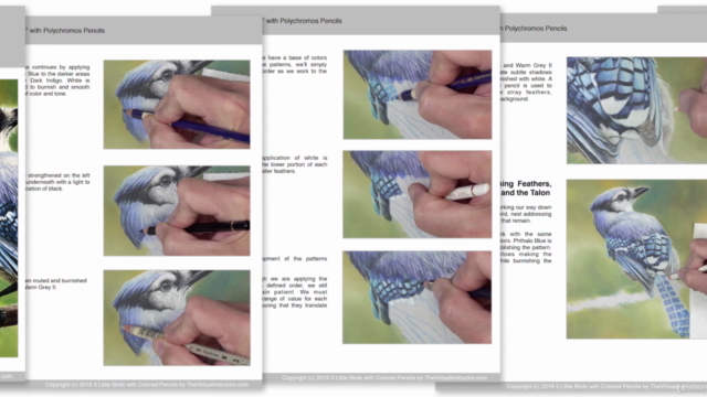 3 Little Birds with Colored Pencils – Screenshot 4