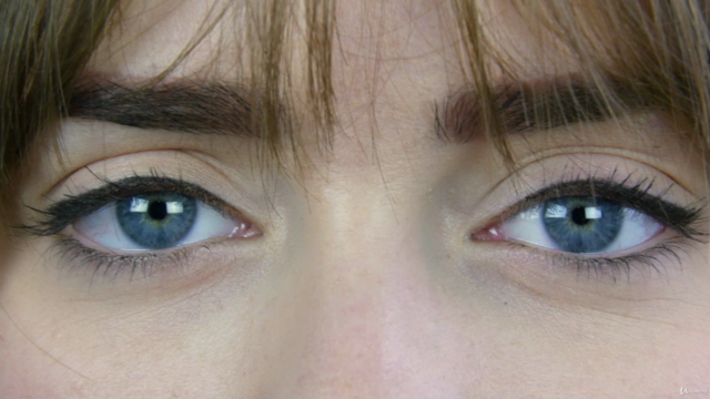 Classic Eyelash Extension Course +SECRET eBOOK – Screenshot 1