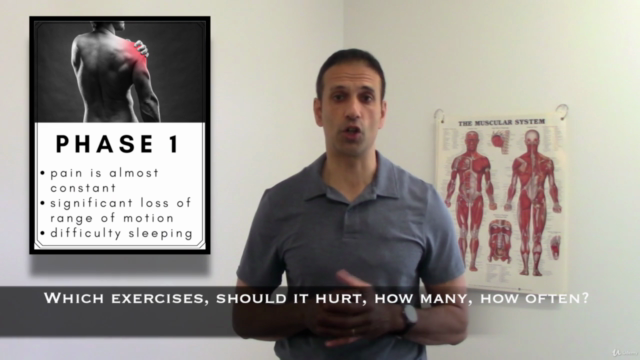 Stretch, Strengthening & Posture ex's for shoulders – Screenshot 3