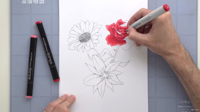 The Complete Copic Markers Course – Screenshot 3