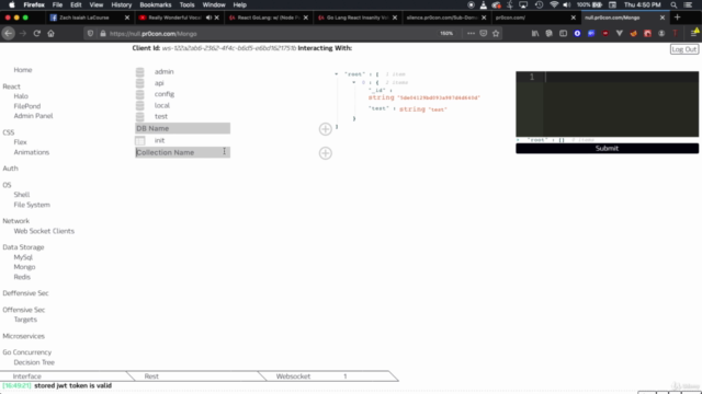Fullstack GoLang React Insanity Volume 2 – Screenshot 1