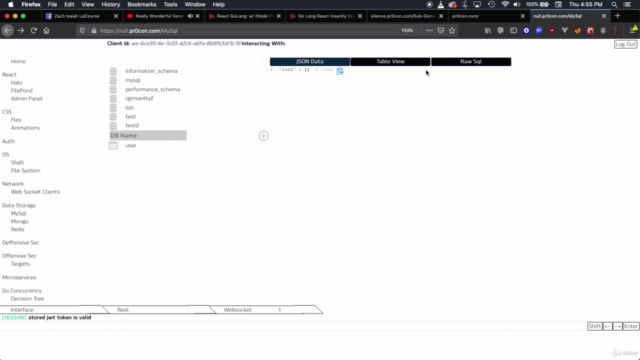 Fullstack GoLang React Insanity Volume 2 – Screenshot 2