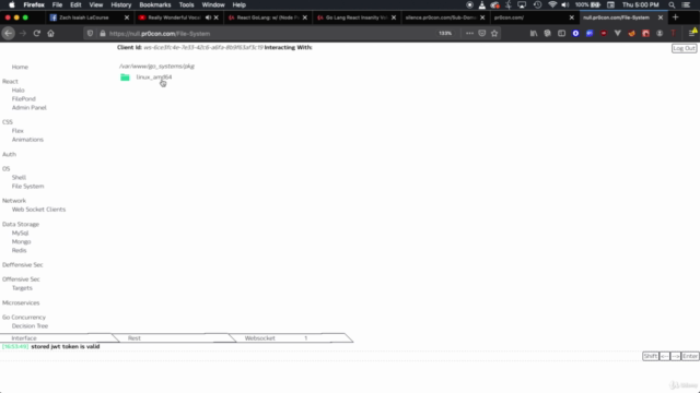Fullstack GoLang React Insanity Volume 2 – Screenshot 3