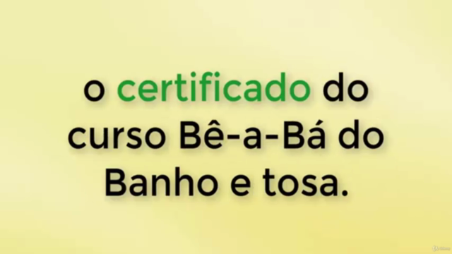 Curso de banho e tosa online o bê-a-bá do banho e tosa – Screenshot 2