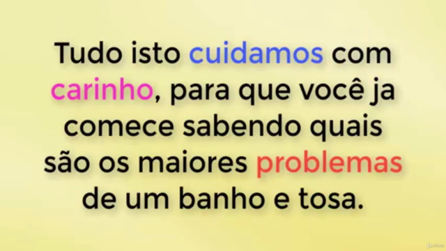 Curso de banho e tosa online o bê-a-bá do banho e tosa – Screenshot 4
