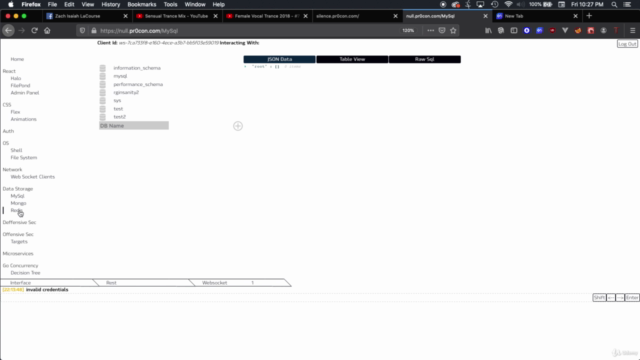 Fullstack GoLang React Insanity Volume 3 – Screenshot 4