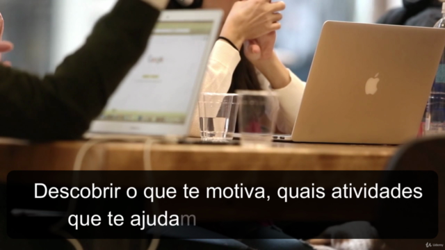 Coaching: Autoliderança e Alta Performance com DISC e IKIGAI – Screenshot 2